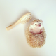 Illustration for article titled I Had No Clue Hedgehogs Were So Darn Cute